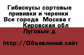 Гибискусы сортовые, прививки и черенки - Все города, Москва г.  »    . Кировская обл.,Луговые д.